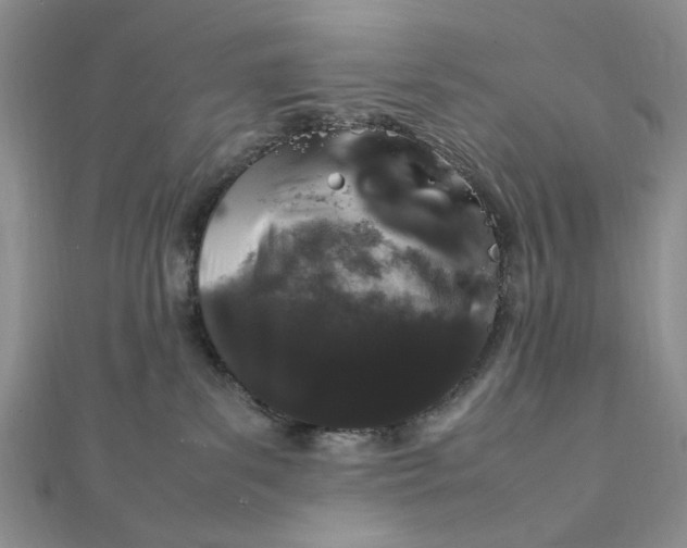 X0000112010139200908241502
