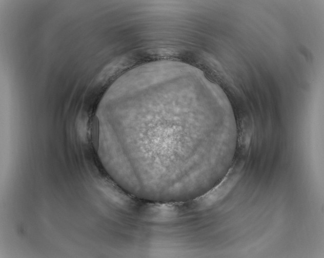 X0000112010140200908241502