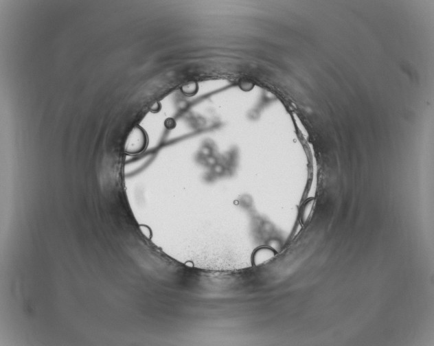 X0000112010141200908241502
