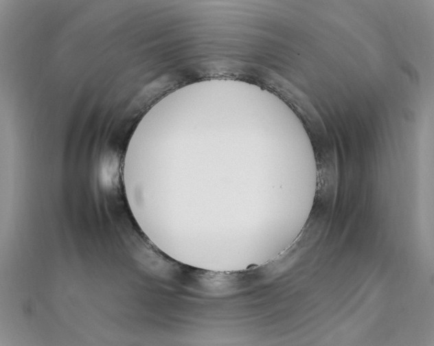 X0000112010142200908241502