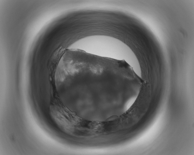 X0000112010143200908241502