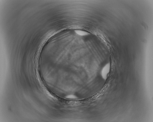 X0000112010145200908241502