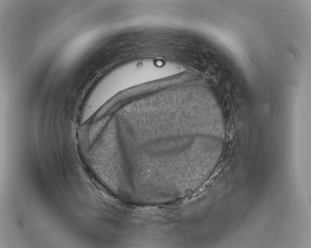 X0000112010146200908241502
