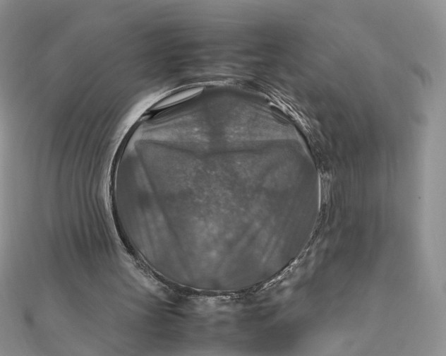 X0000112010147200908241502