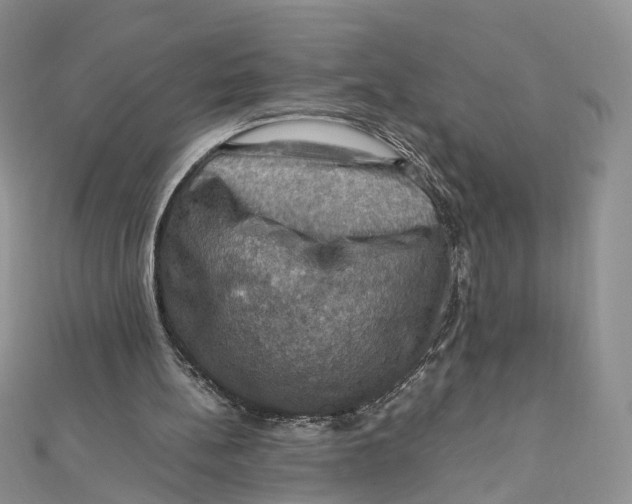 X0000112010148200908241502