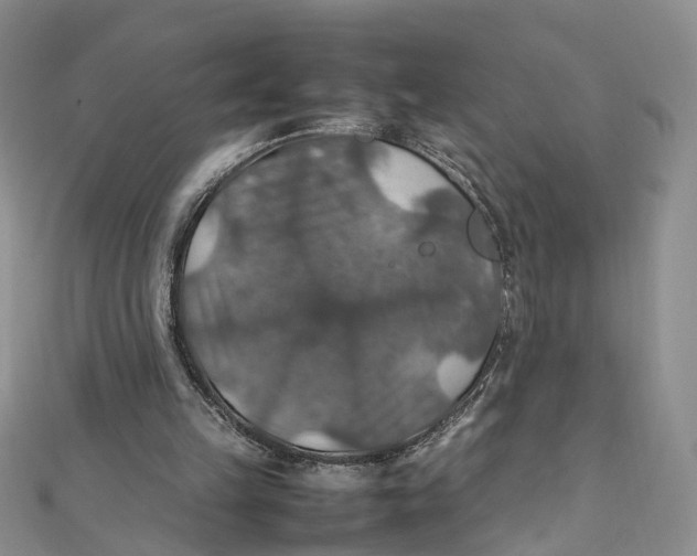 X0000112010149200908241502