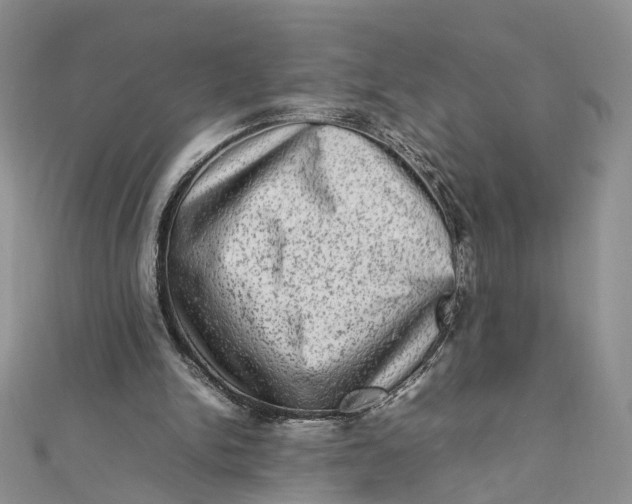 X0000112010150200908241502