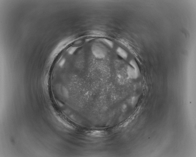X0000112010151200908241502