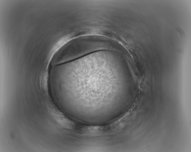 X0000112010152200908241502