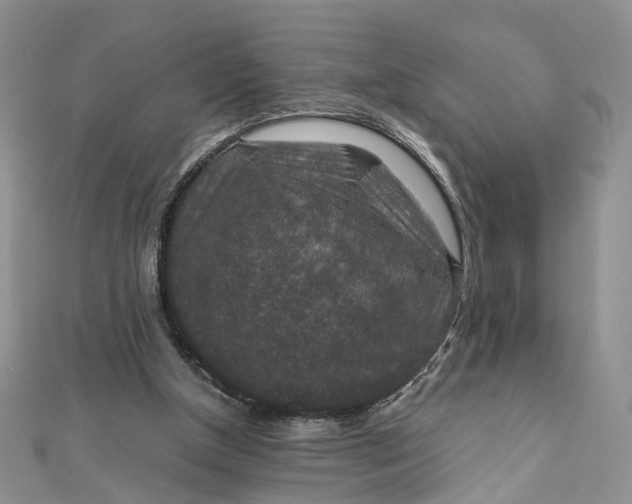 X0000112010154200908241502