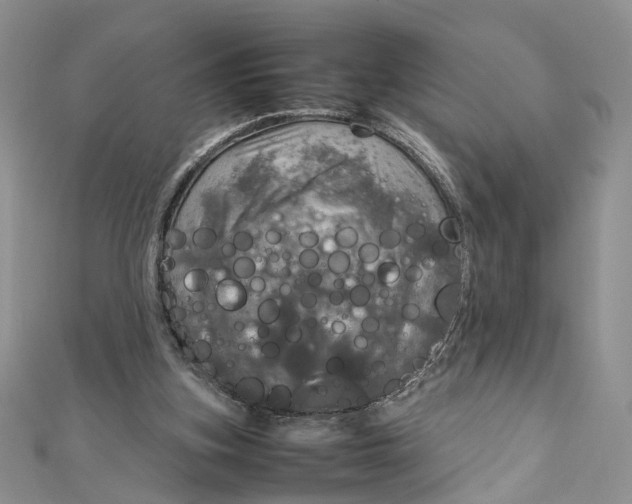 X0000112010155200908241502