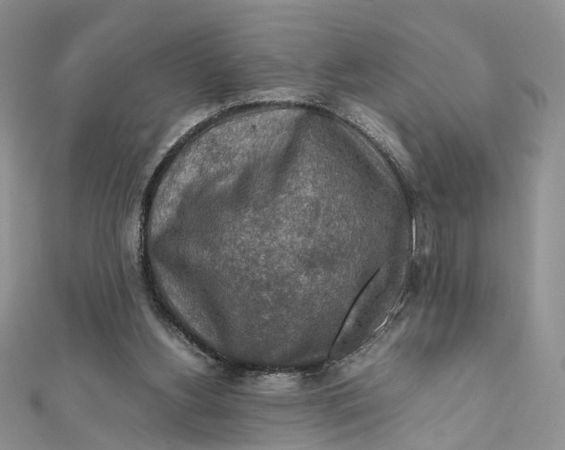 X0000112010156200908241502