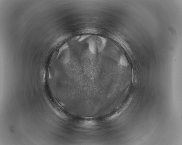 X0000112010157200908241502