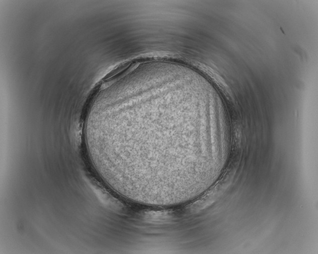 X0000112010160200908241502