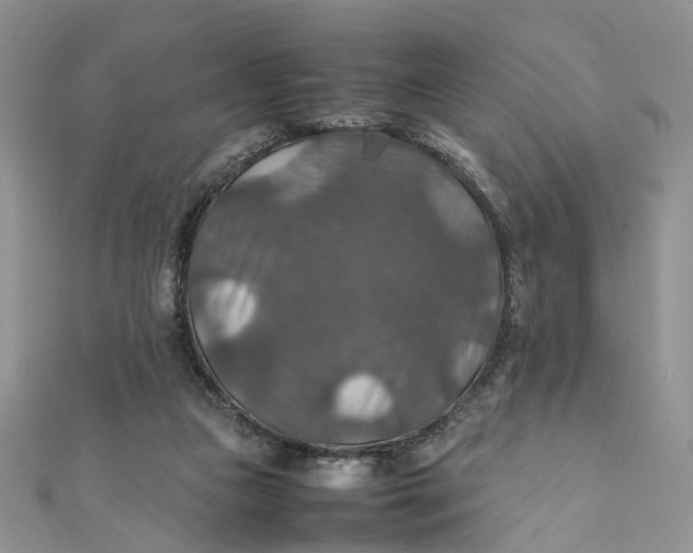X0000112010161200908241502