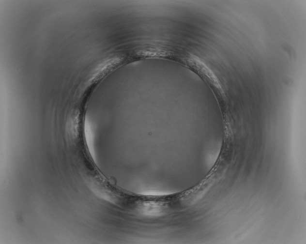 X0000112010163200908241502