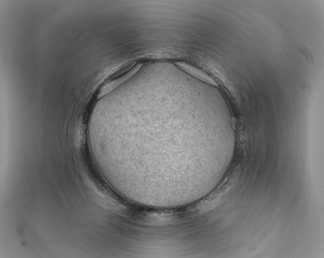 X0000112010164200908241502