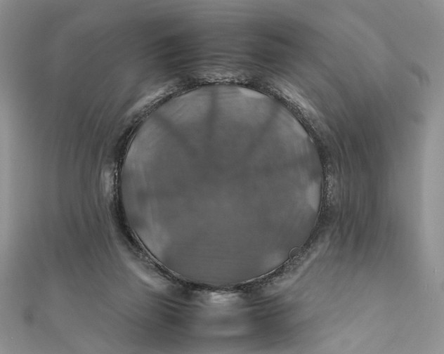X0000112010165200908241502