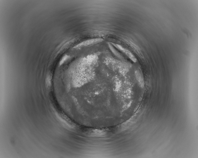 X0000112010166200908241502
