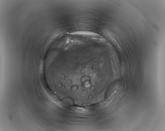 X0000112010167200908241502
