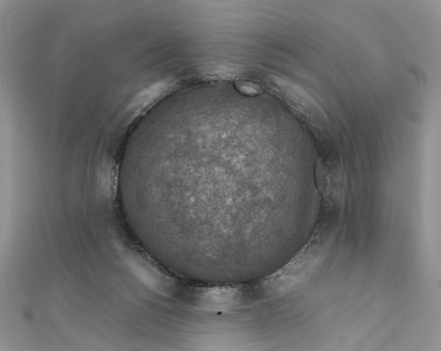 X0000112010168200908241502