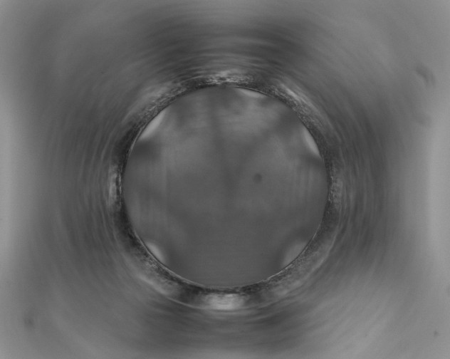 X0000112010169200908241502