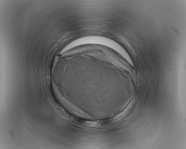 X0000112010170200908241502