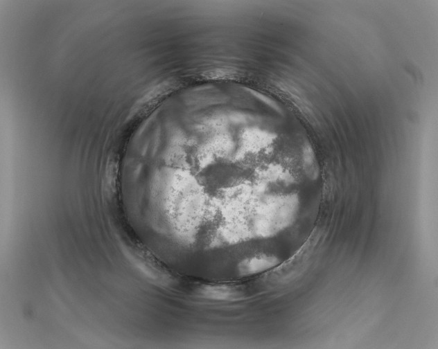 X0000112010171200908241502
