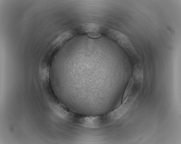 X0000112010172200908241502