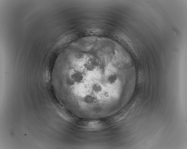 X0000112010173200908241502