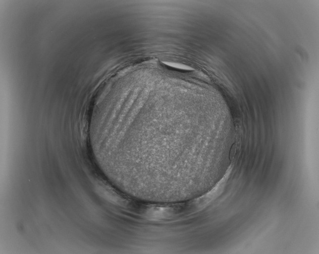 X0000112010174200908241502