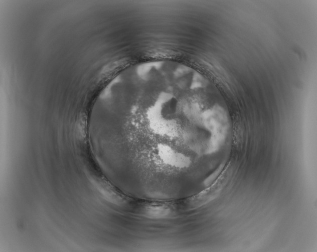 X0000112010175200908241502