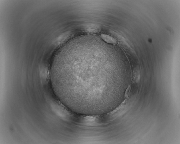 X0000112010176200908241502