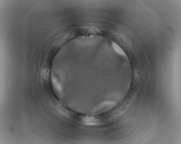 X0000112010177200908241502