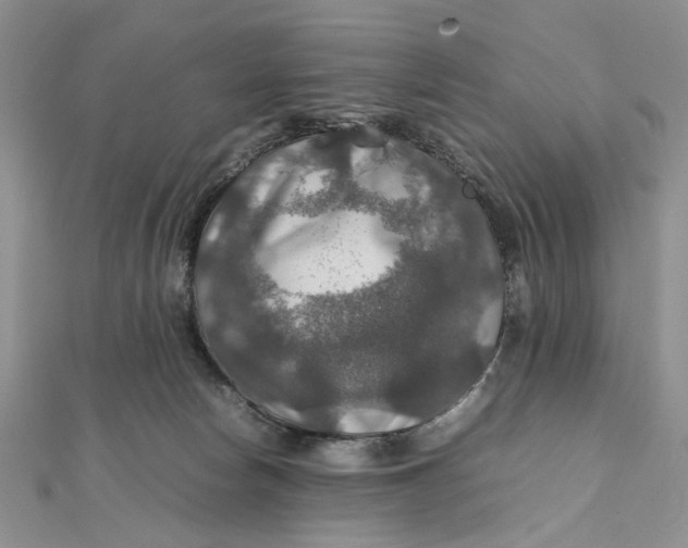X0000112010178200908241502