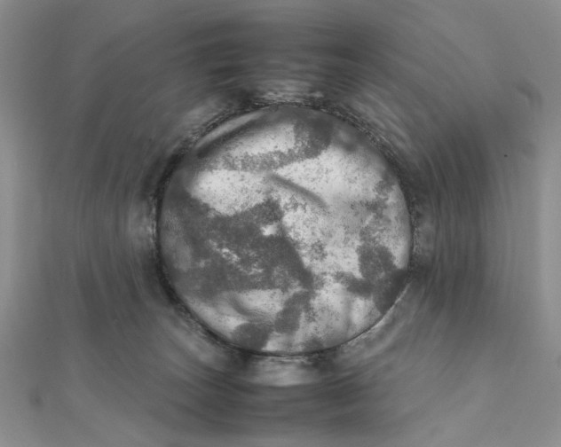 X0000112010179200908241502