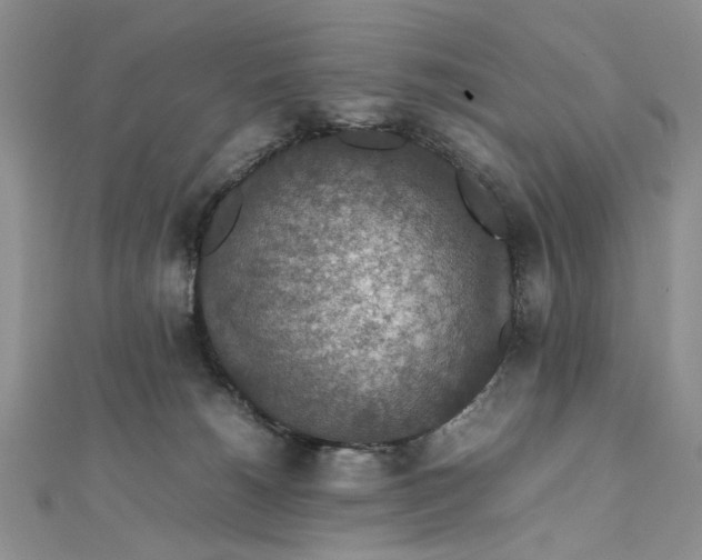 X0000112010180200908241502