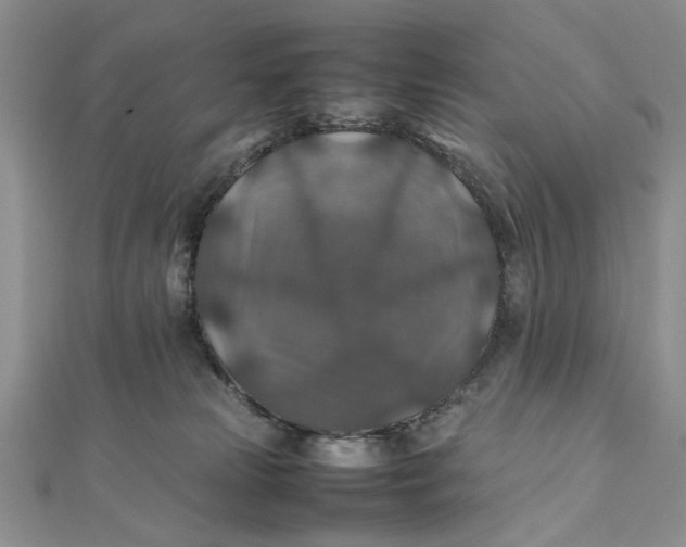 X0000112010181200908241502