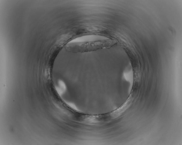 X0000112010182200908241502