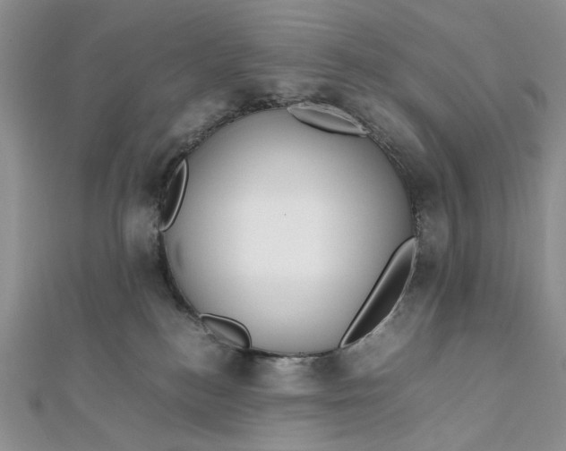 X0000112010184200908241502