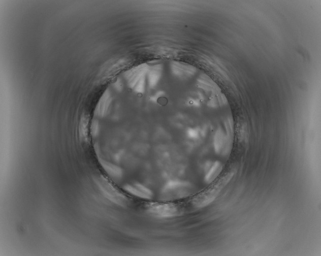 X0000112010185200908241502