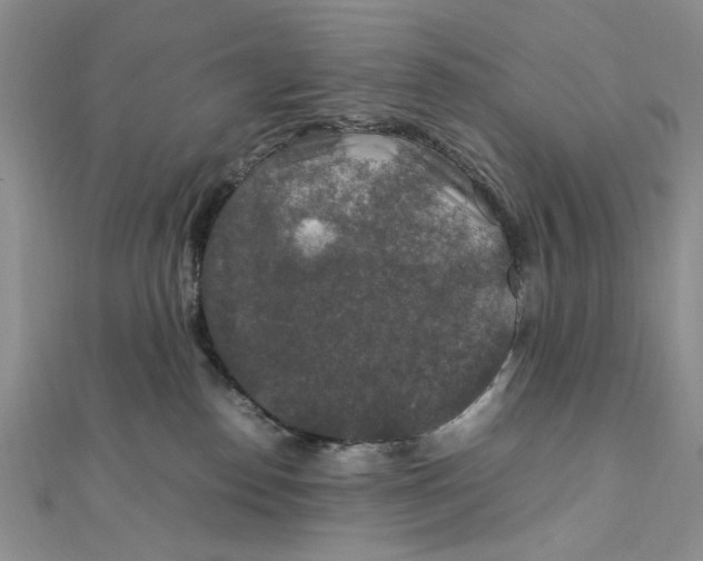 X0000112010186200908241502