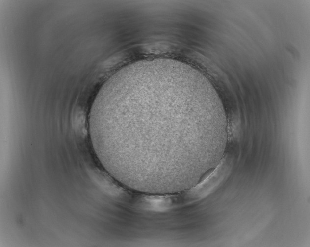 X0000112010187200908241502