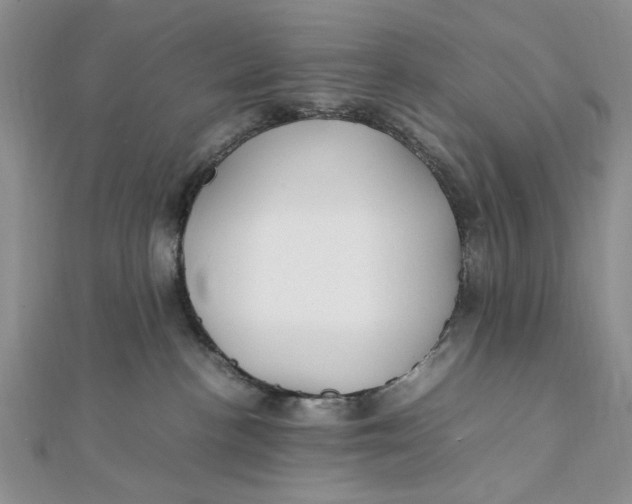 X0000112010188200908241502