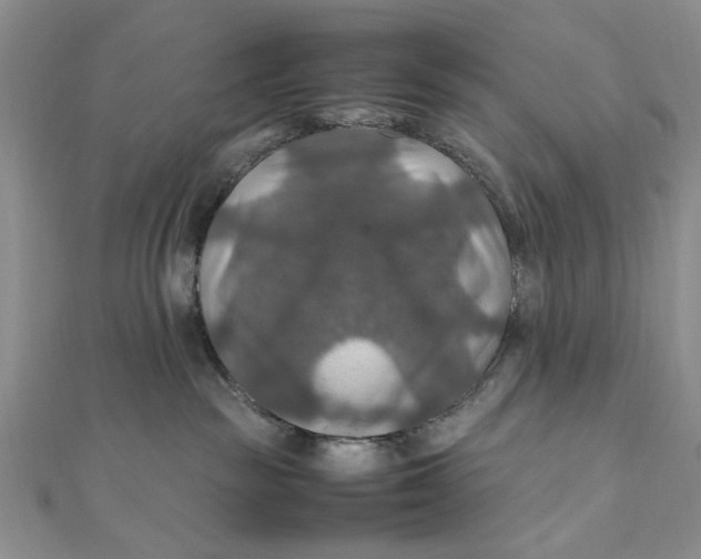 X0000112010189200908241502