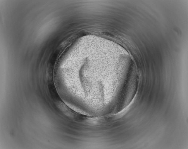 X0000112010190200908241502