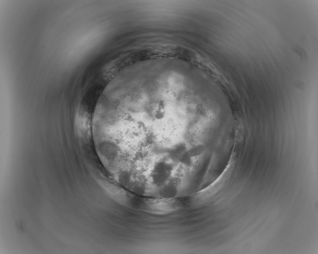 X0000112010191200908241502