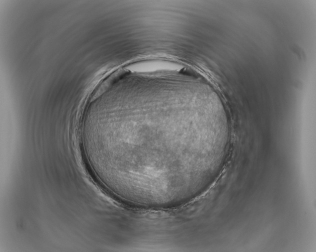 X0000112010193200908241502