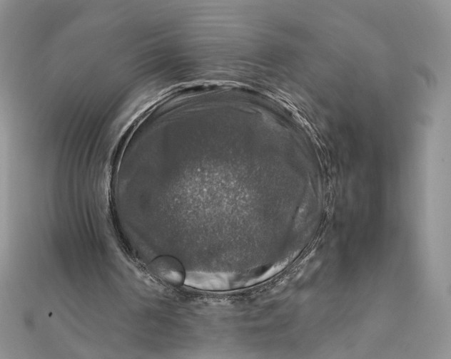 X0000112010194200908241502