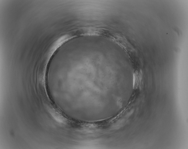 X0000112010195200908241502